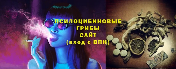 прущие грибы Медногорск